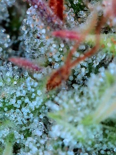 2025-07-25-20-57-06-084