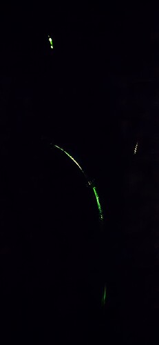 20240214_054702