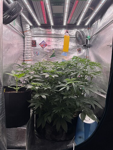 Growreport Bild 9