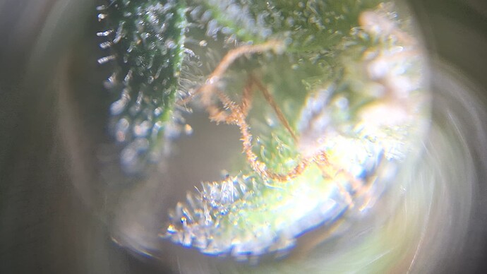 Growreport Bild 15