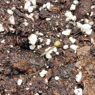 1728372831642 - Kopie