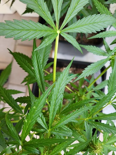 Growreport Bild 9