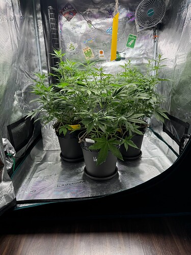 Growreport Bild 14