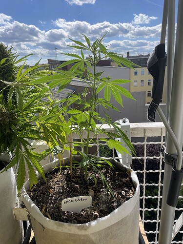 Growreport Bild 12