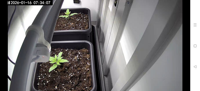 Screenshot_2026-01-16-07-32-41-51_89ed83f5c7ca8fa2c91fc75c50289338