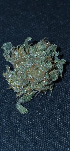 Growreport Bild 3