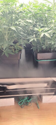 Growreport Bild 6