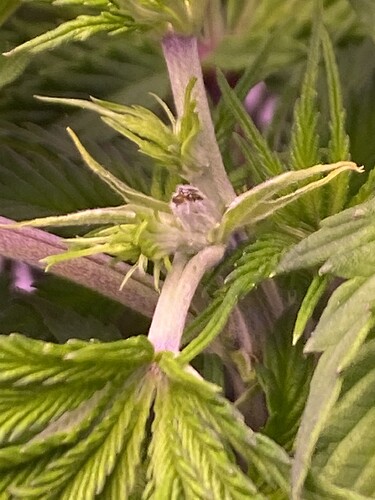 Growreport Bild 10