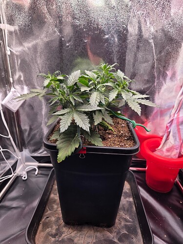 Growreport Bild 4