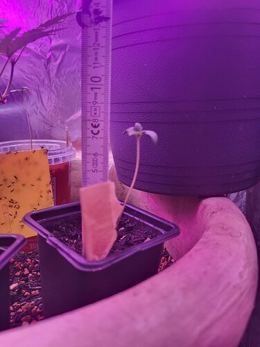 Growreport Bild 1