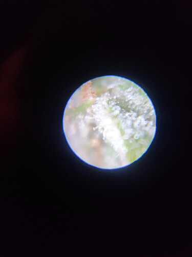 Growreport Bild 24