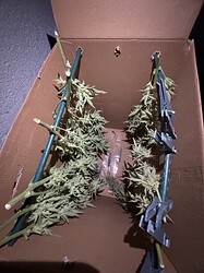 Growreport Bild 17