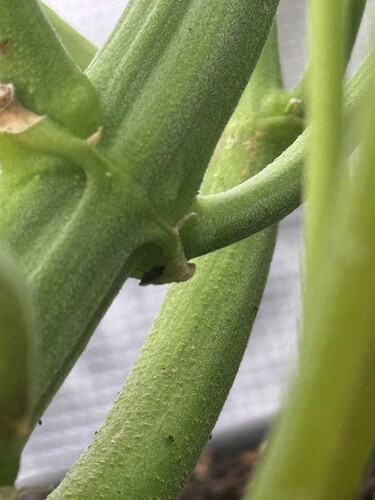 Growreport Bild 10