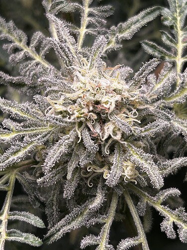 Growreport Bild 23