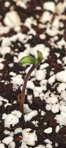 Screenshot_2026-01-09-19-11-41-903_com.miui.gallery