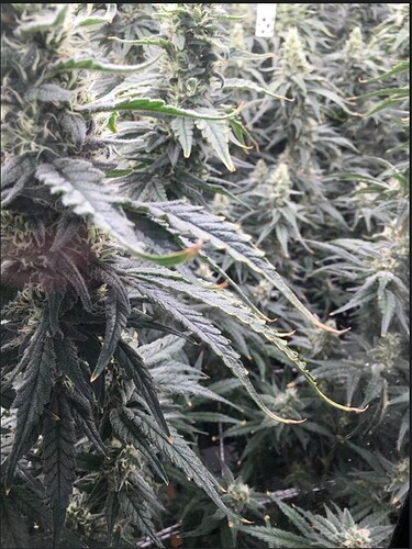 Screenshot 2024-09-16 231320