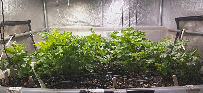 Growreport Bild 7