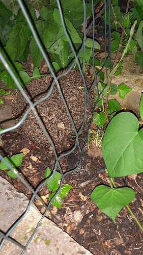 Growreport Bild 45