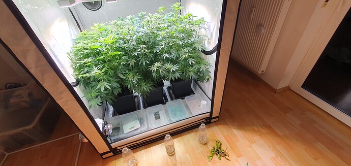 Growreport Bild 7