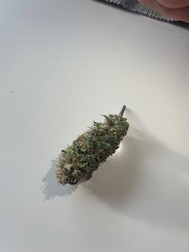 Growreport Bild 3