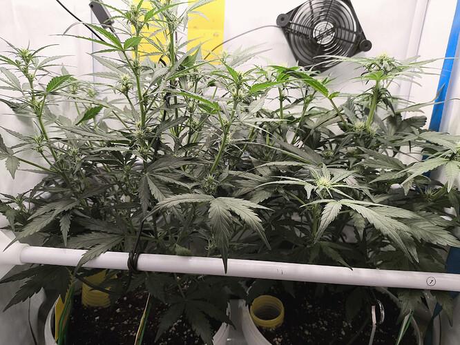 Growreport Bild 3