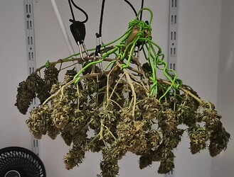 Growreport Bild 146