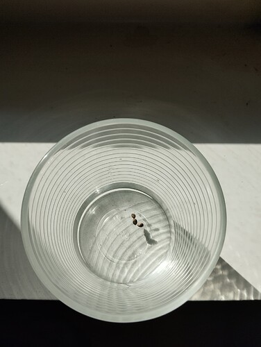 Growreport Bild 7