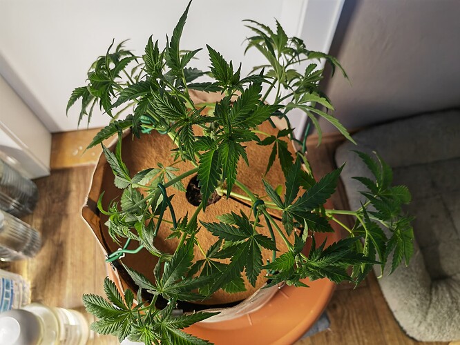 Growreport Bild 19