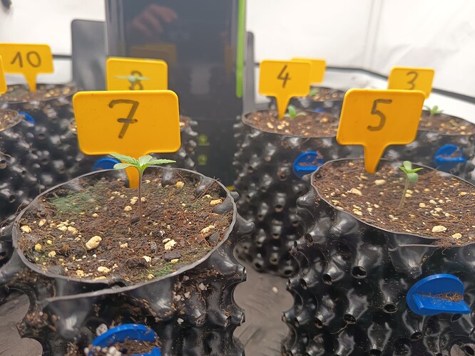 Growreport Bild 33