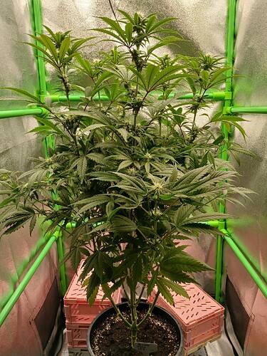 Growreport Bild 10