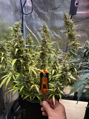 Growreport Bild 22