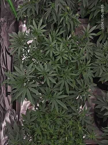 Growreport Bild 7