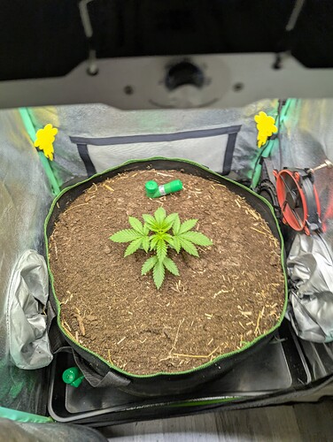 Growreport Bild 1