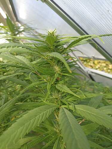 WhatsApp Bild 2024-10-07 um 13.34.36_11e9006a