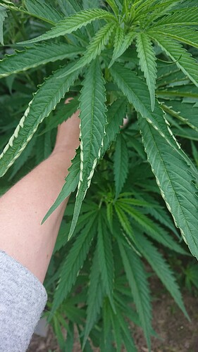 Growreport Bild 21
