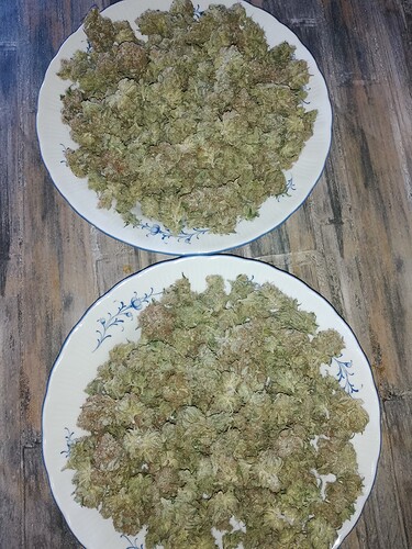 IMG_20240810_194325_809