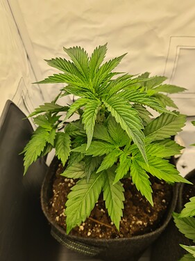 Growreport Bild 12