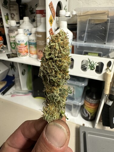 Growreport Bild 35