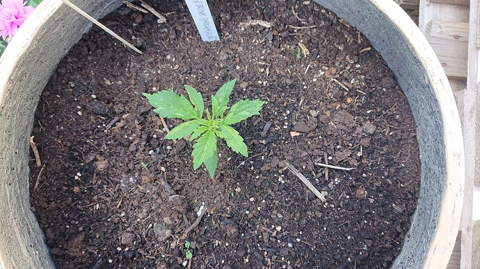 Growreport Bild 15