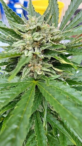 Growreport Bild 14