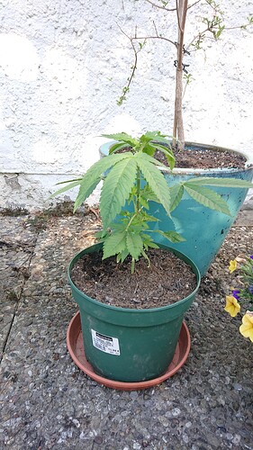 Growreport Bild 21