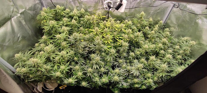 Growreport Bild 12