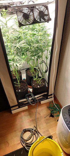 Growreport Bild 13