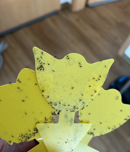 Growreport Bild 2