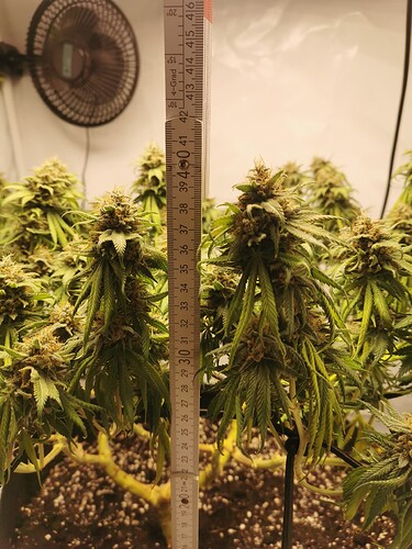 Growreport Bild 11