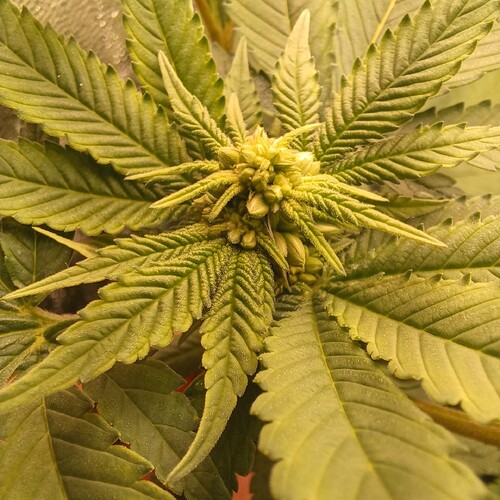 Growreport Bild 2