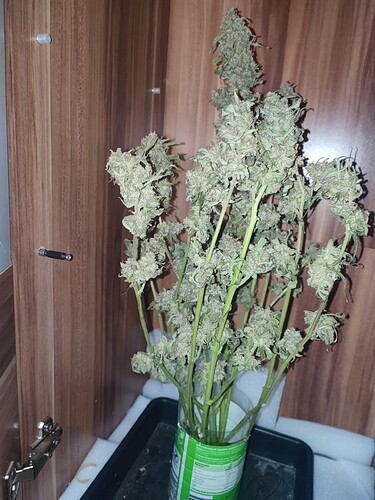 Growreport Bild 18