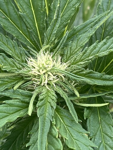 Growreport Bild 24