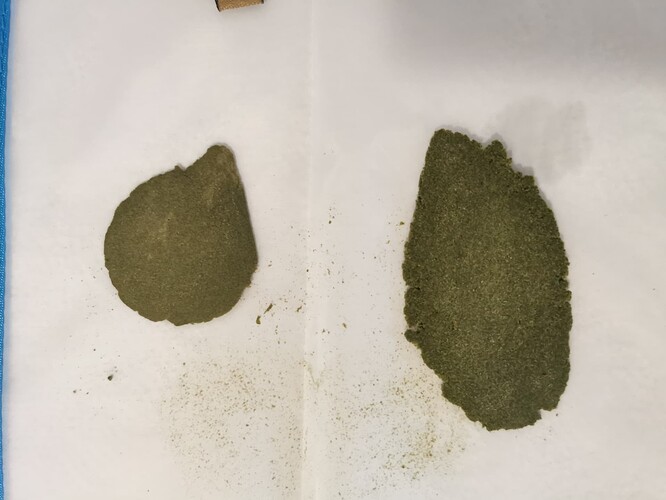 Growreport Bild 9