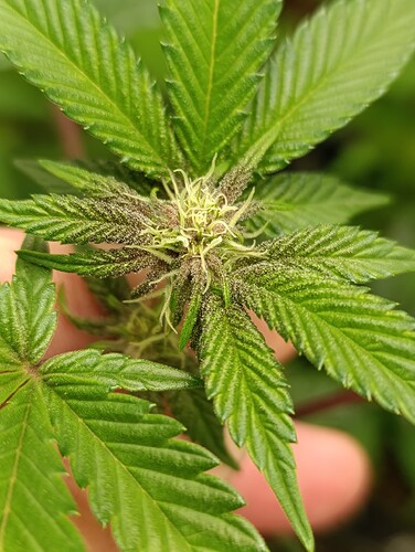 Growreport Bild 14